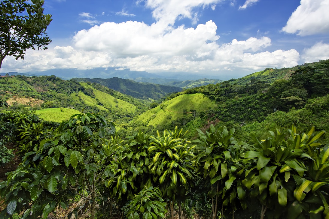 Costa Rica mountains and hillside was amazing.  view into valley was unbelievable. It was so much green for miles, and miles. cloud formation.